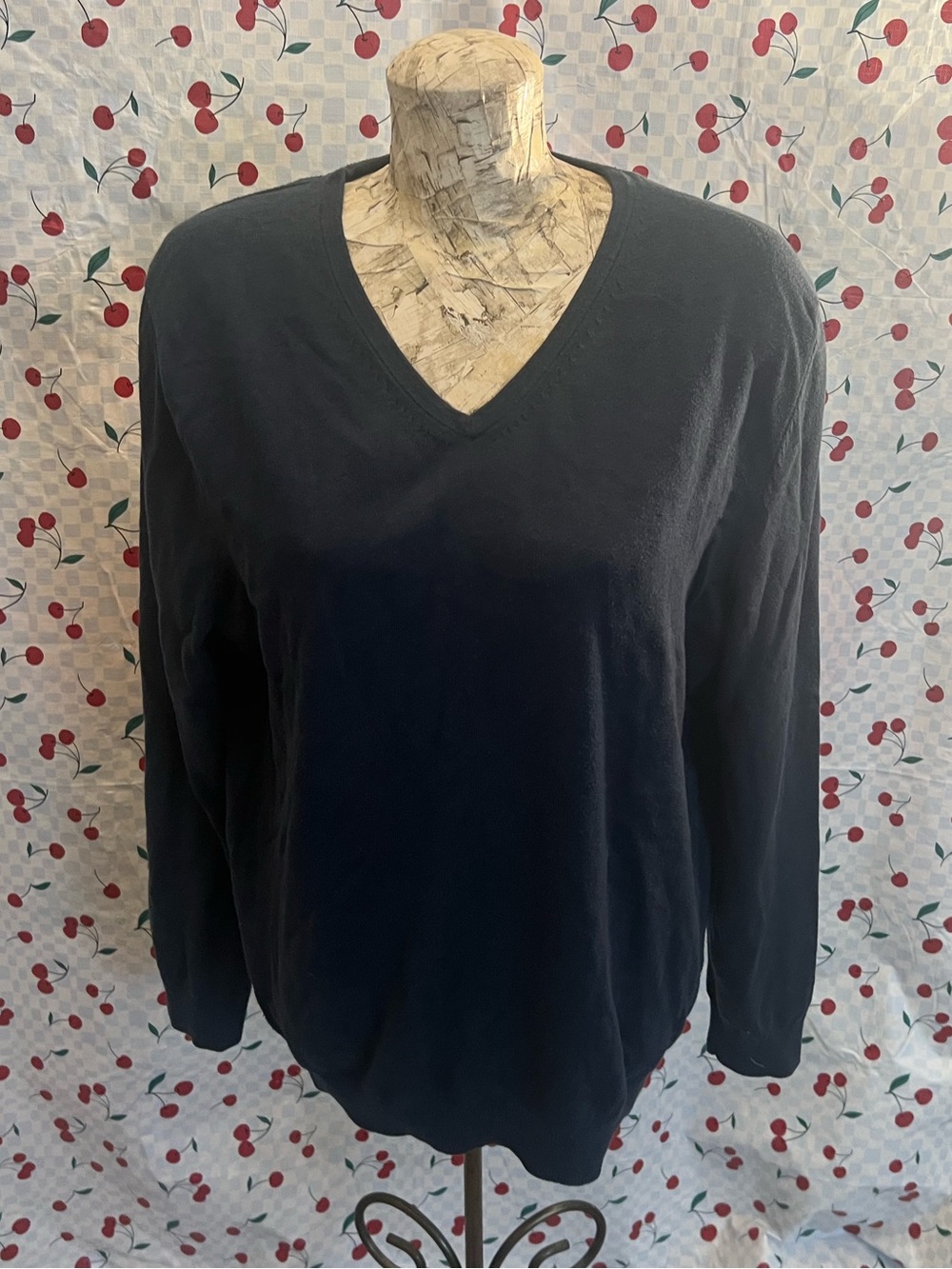RW & Co Size xl v-neck sweater
